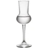 Ποτήρι Grappa